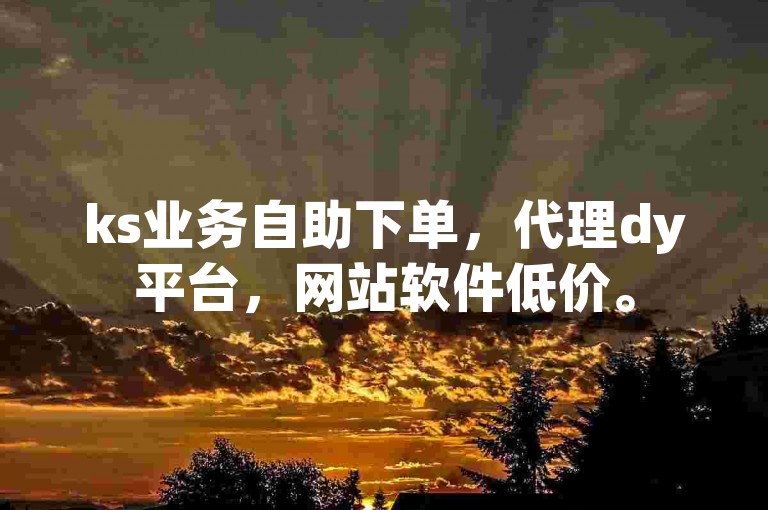 ks业务自助下单，代理dy平台，网站软件低价。