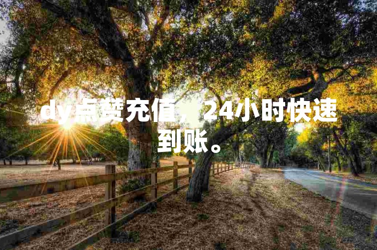 dy点赞充值，24小时快速到账。