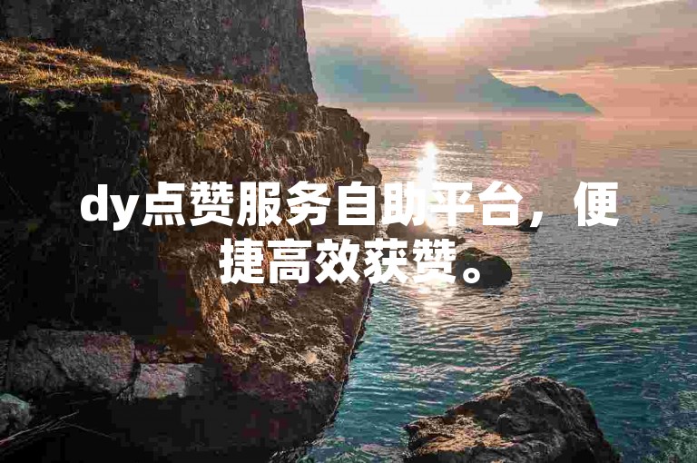dy点赞服务自助平台，便捷高效获赞。