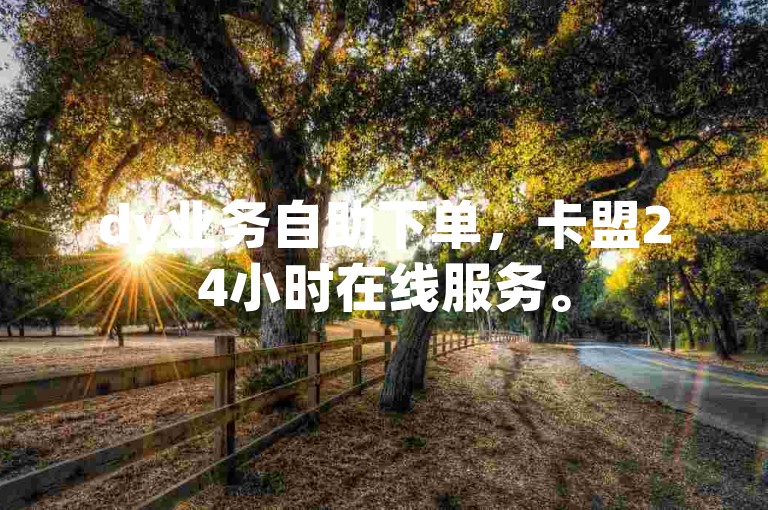 dy业务自助下单，卡盟24小时在线服务。