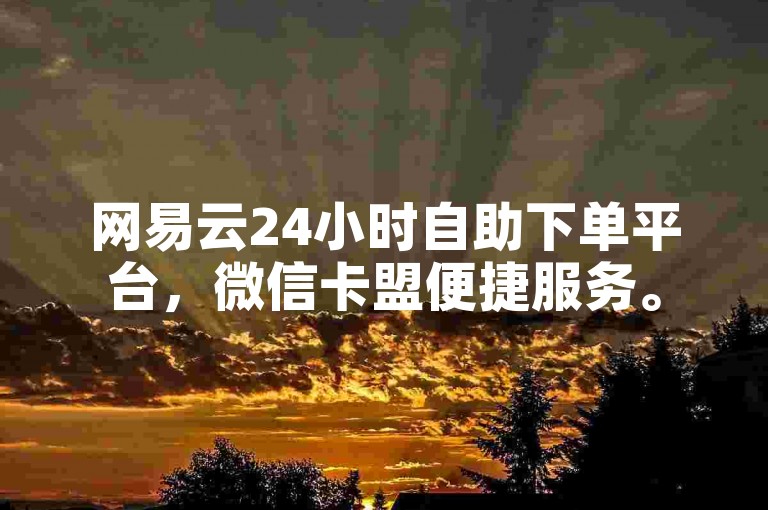 网易云24小时自助下单平台，微信卡盟便捷服务。