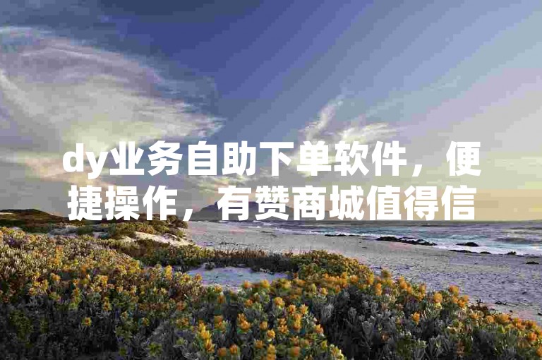 dy业务自助下单软件，便捷操作，有赞商城值得信赖。