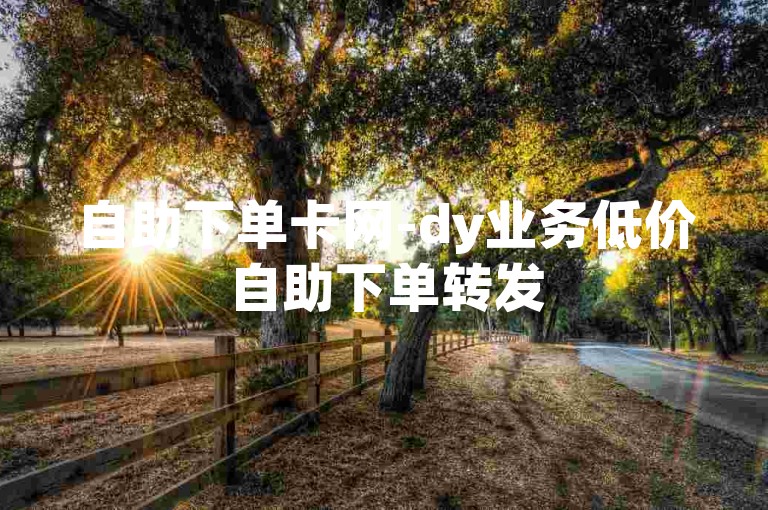 自助下单卡网-dy业务低价自助下单转发
