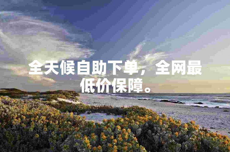全天候自助下单，全网最低价保障。