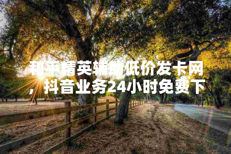 和平精英辅助低价发卡网，抖音业务24小时免费下单。