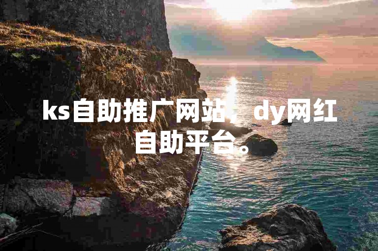 ks自助推广网站，dy网红自助平台。