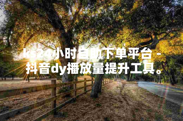 ks24小时自助下单平台 - 抖音dy播放量提升工具。