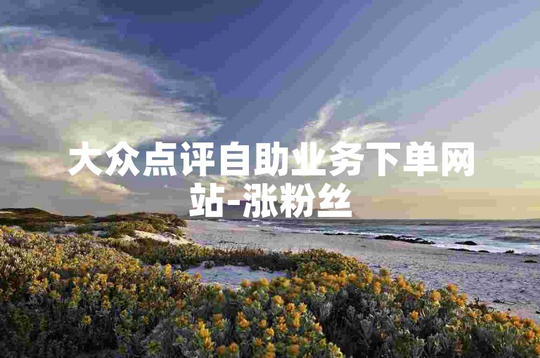 大众点评自助业务下单网站-涨粉丝