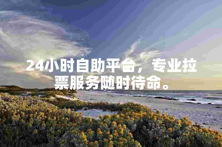 24小时自助平台，专业拉票服务随时待命。