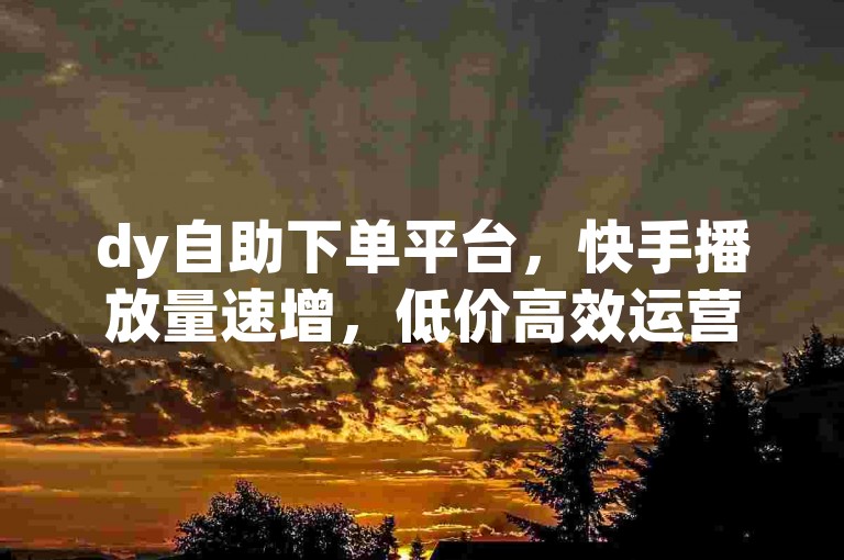 dy自助下单平台，快手播放量速增，低价高效运营网。