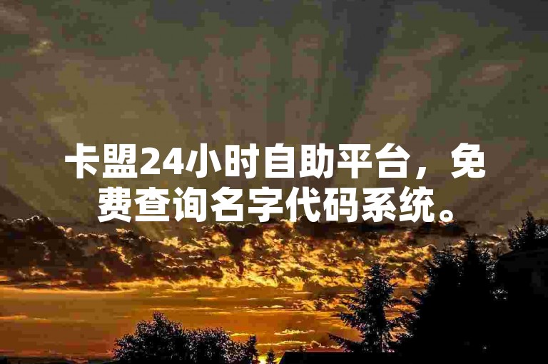 卡盟24小时自助平台，免费查询名字代码系统。