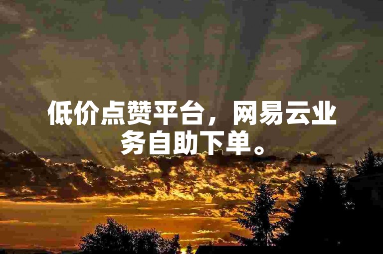 低价点赞平台，网易云业务自助下单。