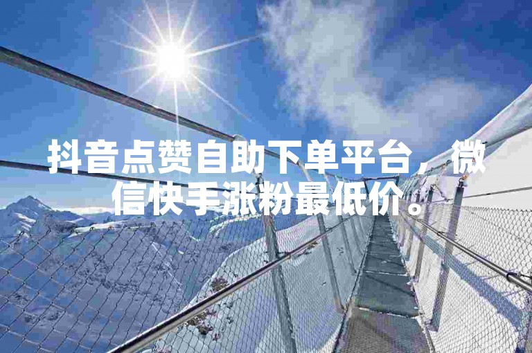 抖音点赞自助下单平台，微信快手涨粉最低价。