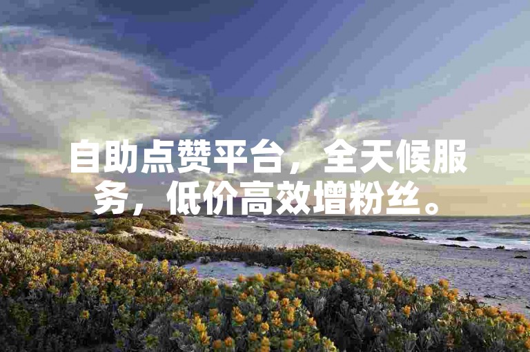 自助点赞平台，全天候服务，低价高效增粉丝。