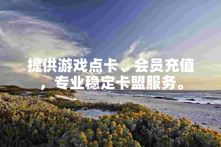 提供游戏点卡、会员充值，专业稳定卡盟服务。