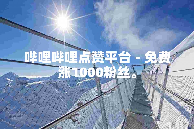 哔哩哔哩点赞平台 - 免费涨1000粉丝。