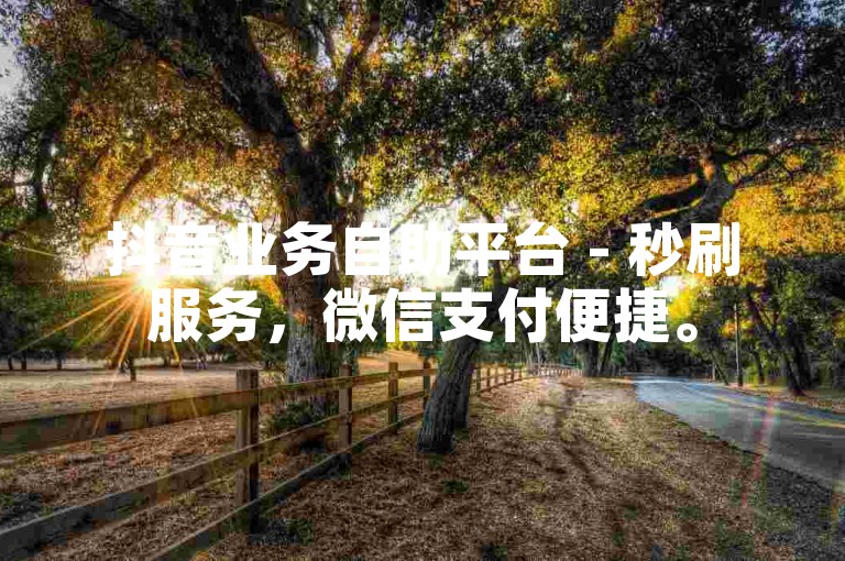抖音业务自助平台 - 秒刷服务，微信支付便捷。