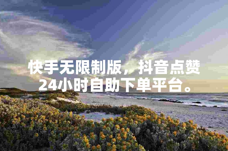 快手无限制版，抖音点赞24小时自助下单平台。
