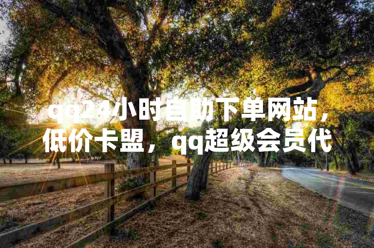 qq24小时自助下单网站，低价卡盟，qq超级会员代充网站。
