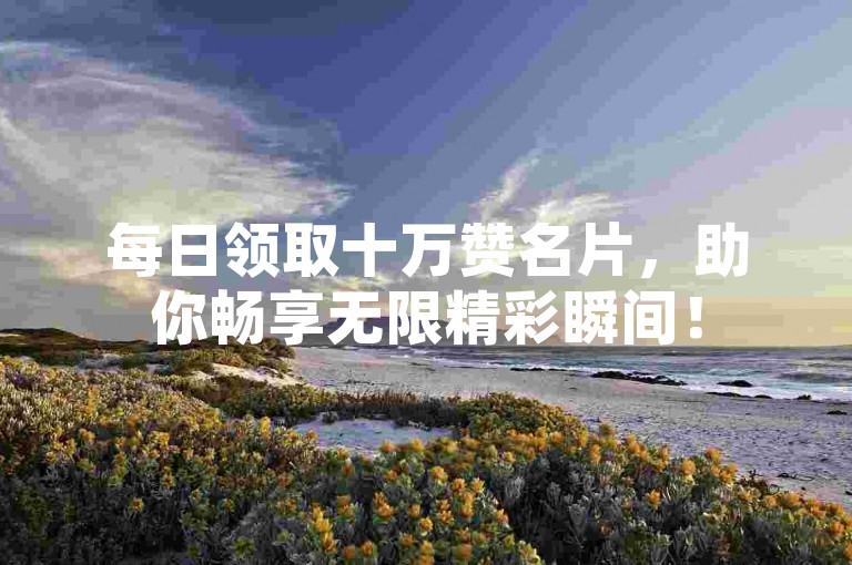 每日领取十万赞名片，助你畅享无限精彩瞬间！