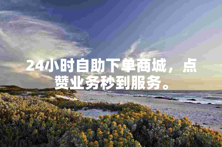24小时自助下单商城，点赞业务秒到服务。