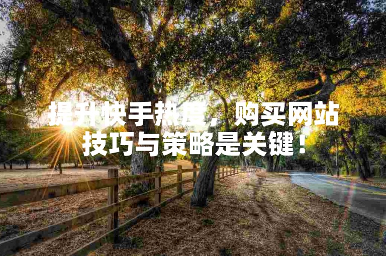 提升快手热度，购买网站技巧与策略是关键！