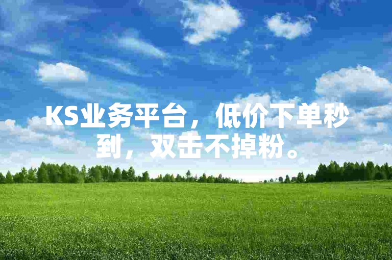 KS业务平台，低价下单秒到，双击不掉粉。