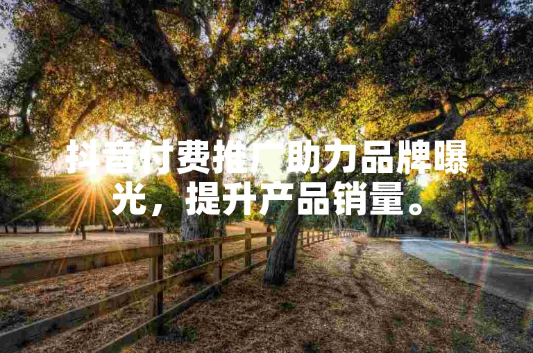 抖音付费推广助力品牌曝光，提升产品销量。