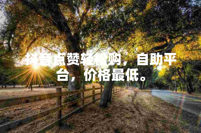 抖音点赞轻松购，自助平台，价格最低。