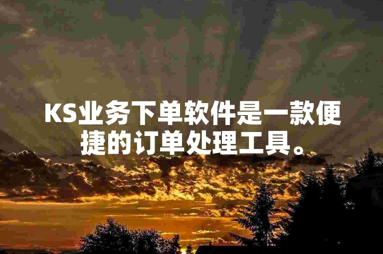 KS业务下单软件是一款便捷的订单处理工具。