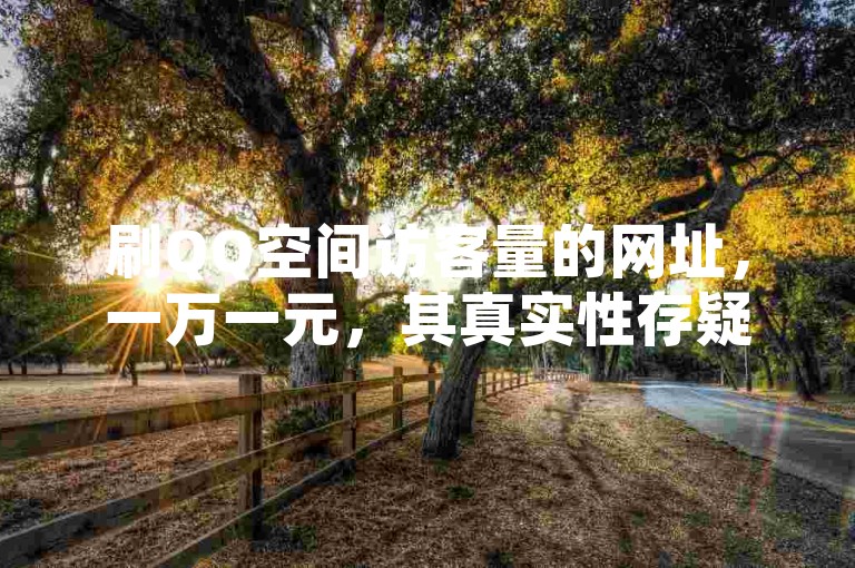 刷QQ空间访客量的网址，一万一元，其真实性存疑。