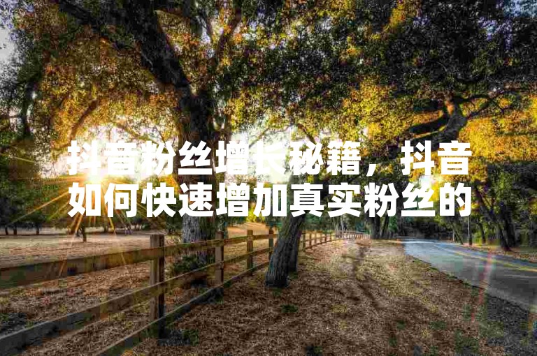 抖音粉丝增长秘籍，抖音如何快速增加真实粉丝的秘诀？