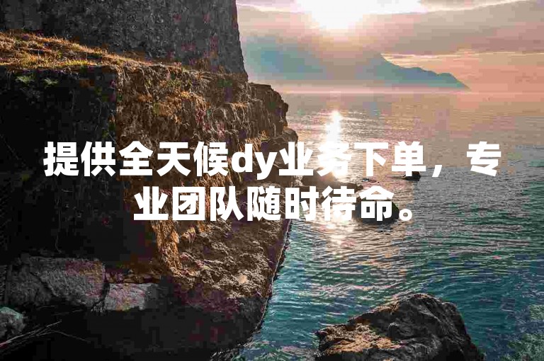 提供全天候dy业务下单，专业团队随时待命。