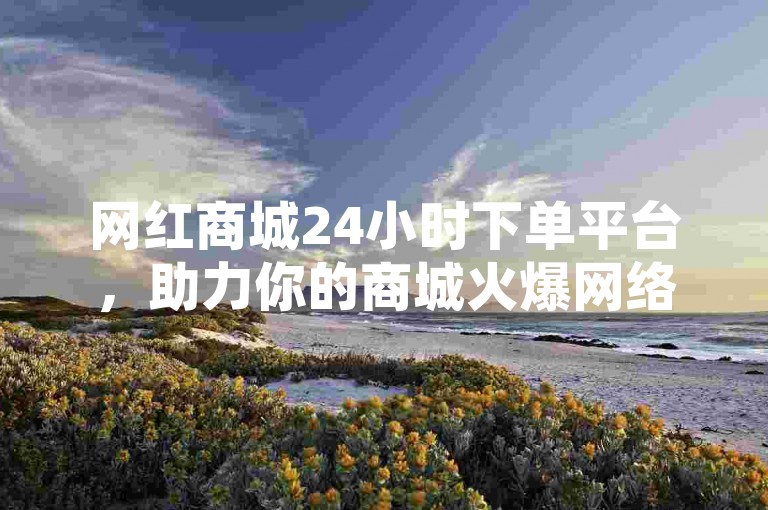 网红商城24小时下单平台，助力你的商城火爆网络。