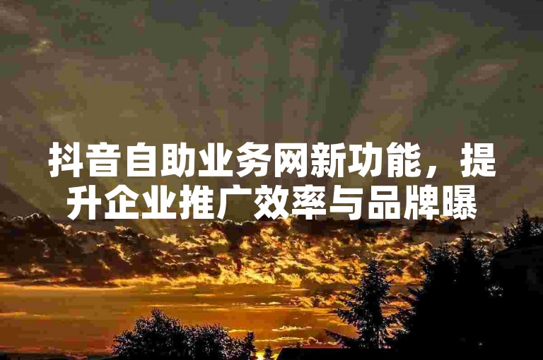 抖音自助业务网新功能，提升企业推广效率与品牌曝光度。