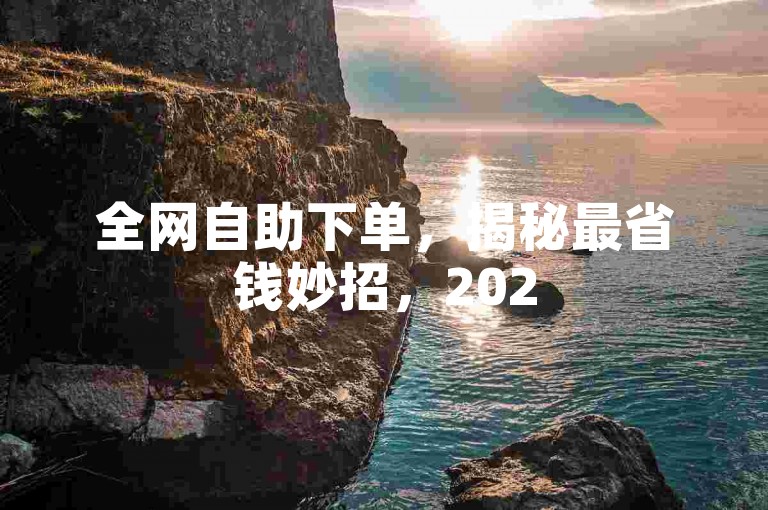 全网自助下单，揭秘最省钱妙招，2025必备技巧！