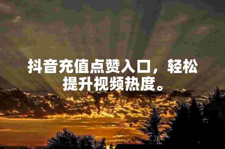 抖音充值点赞入口，轻松提升视频热度。