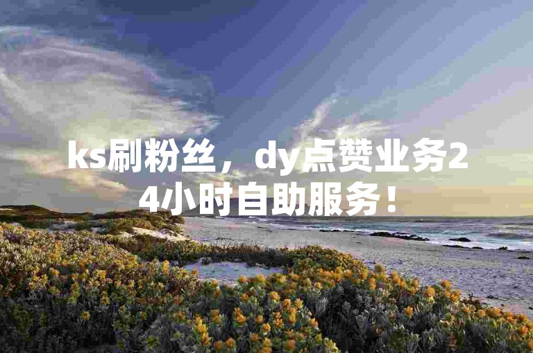 ks刷粉丝，dy点赞业务24小时自助服务！