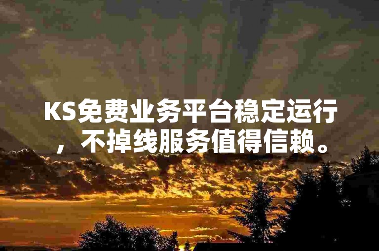 KS免费业务平台稳定运行，不掉线服务值得信赖。