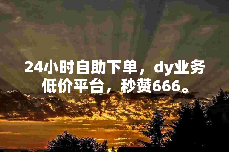 24小时自助下单，dy业务低价平台，秒赞666。