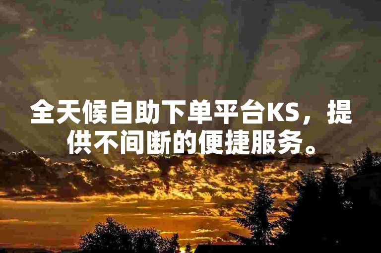 全天候自助下单平台KS，提供不间断的便捷服务。