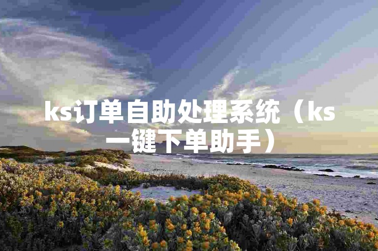ks订单自助处理系统（ks一键下单助手）