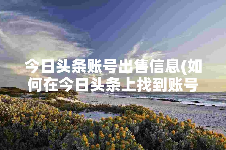 今日头条账号出售信息(如何在今日头条上找到账号出售的相关内容)