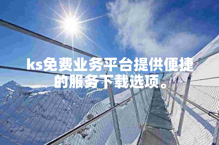 ks免费业务平台提供便捷的服务下载选项。