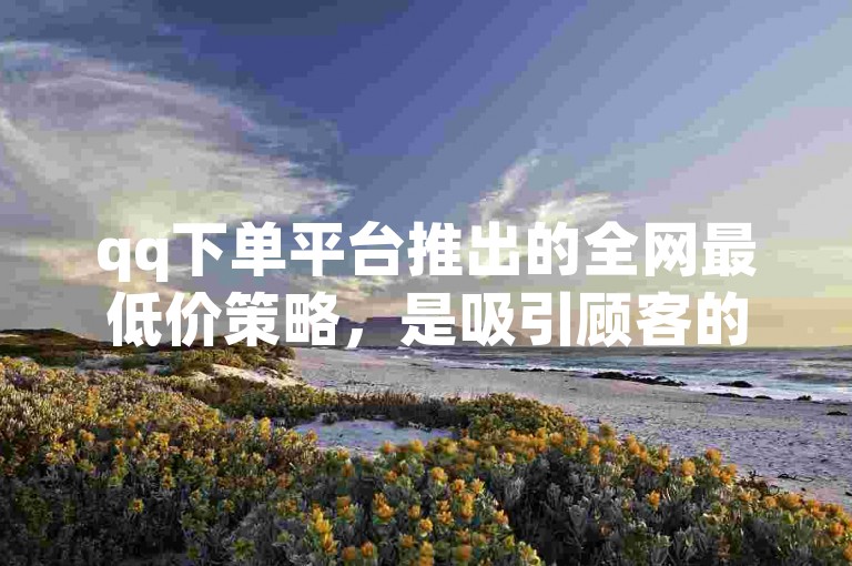 qq下单平台推出的全网最低价策略，是吸引顾客的关键手段，确保了服务的市场竞争力。