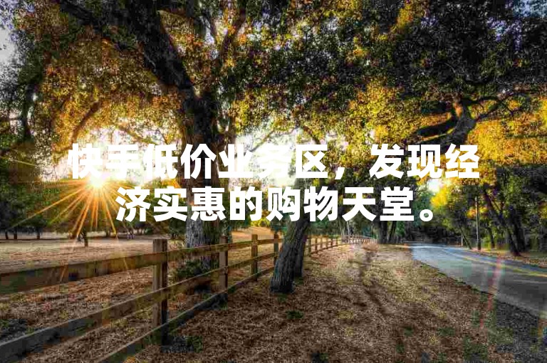 快手低价业务区，发现经济实惠的购物天堂。