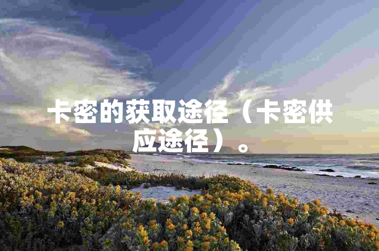 卡密的获取途径（卡密供应途径）。