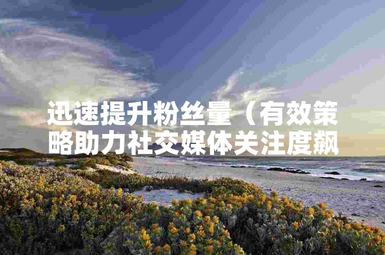 迅速提升粉丝量（有效策略助力社交媒体关注度飙升）