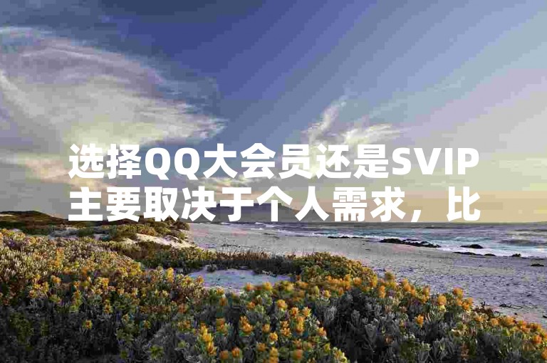 选择QQ大会员还是SVIP主要取决于个人需求，比如是否需要更多的专属特权和优惠。