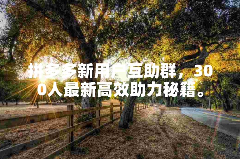拼多多新用户互助群，300人最新高效助力秘籍。